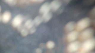 Neighbors Teen Wife In Lingerie Gets Tied Up And Creampied... And Sucks if it off afterwards