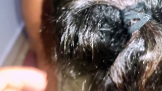 فيلم اباحي مغربي 🍆 مغربي كيحوي في مرتو وصحبتها بجوج كيغوتو 💦🇲🇦