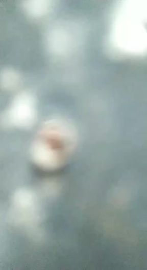 MALE VOYEUR 34