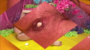 EASTER BUNNY LAYS EGGS 4 002