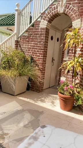 Key moment from "Couple Fucking on Venice Beach"