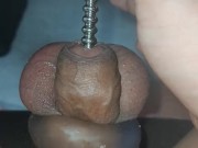 拘束阳具和睾丸插尿道棒