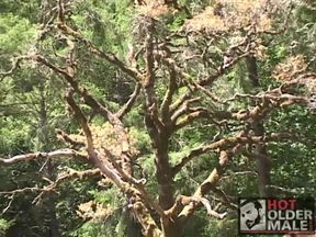 Hard Mountain: Country Bumpin&#039; 2