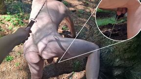 A boy on all fours pees near a tree