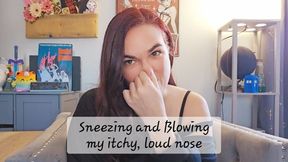 Sneezing and Blowing my itchy, loud nose