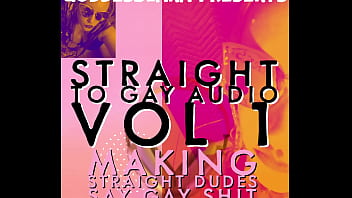 Straight to Gay Audio Vol 1