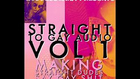 Straight to Gay Audio Vol 1