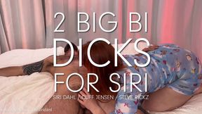 2 Big Bi Dicks 4 Siri