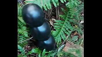 Temporada de setas alucin&oacute_genas