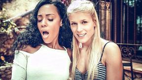 ”Sweet Cat sits on Noe Milk's face”