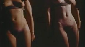 Dr. Dildo s Secret (1970)