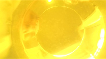 GG POV I drink piss from a glass