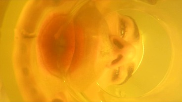 GG POV I drink piss from a glass