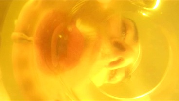 GG POV I drink piss from a glass
