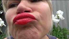 lips like a duck 3 L