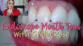 Endoscope Mouth Tour - Stella Rose - WMV 720 HD