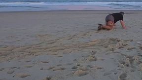Little Sissy Bitch Plays Fetch on a Public Beach Like a Dog
