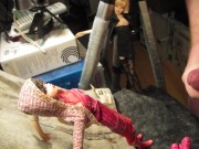 BBB preview: Sofia Valentine "Red Hooded Semi-Ruined"(cum only)AVI noSloMo