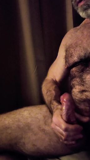 Close up Hairy Uncut Bear