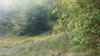 Teen masturbates in the woods and gets fucked by a stranger! LustTaste 4K