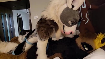 Furry sex murrsuit compilation moan part 4