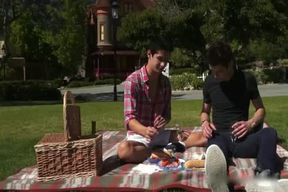 Picnic With The Punch