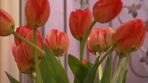 brunette beauty jezebelle bond gets her tight pussy stuffed with hard cock