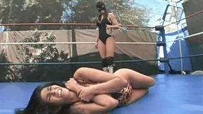 Sexy Pro Wrestling Submissions - Volume 28 (IN HIGH DEFINITION)