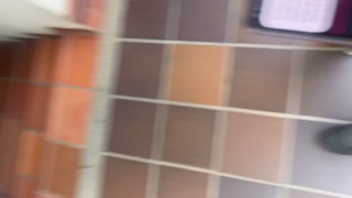 Vi gick genom parkeringsplatsen med Lush aktiverad, titta på hans reaktion!