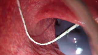 Internal View Bad Dragon Flint Cum and Pumps my Guts Full