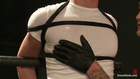 Christian Wilde and a New Sub