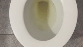 MONEY DRAIN GOLD PEE
