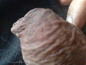 day of my big penis, say hello