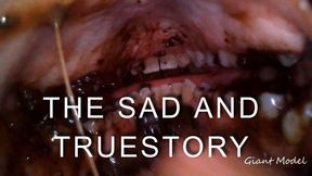 The s3d and tru3 story