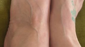 Velvet Veins