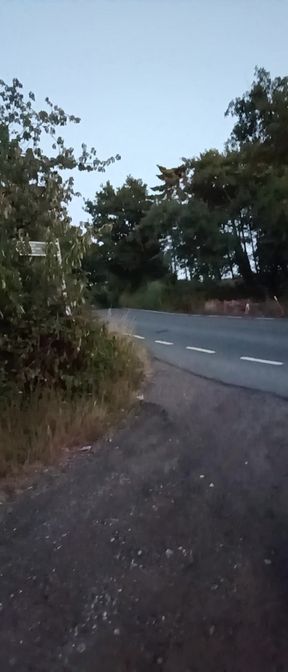 Strip and cum after walk in countryside