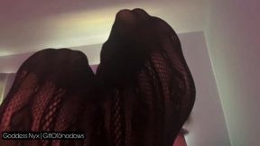 Ignored by Lace Stockings