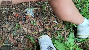 Compilation Pisses Urine by Master David