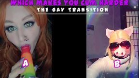 the gay transition this is your starting point newbies