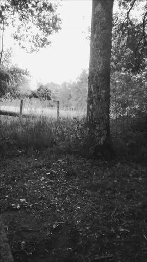 Nature and discovery sport