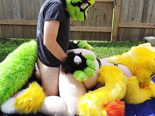 Yiff backyard Sex