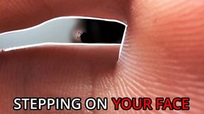 POV - Stepping on your Face (No Talking)