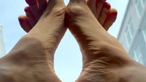 Exquisite Arches & Toes on Your Windshield
