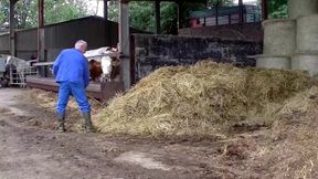 Learn to Ride with the Horny Farmers on Their Farms and in the Barns