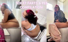 Real Daily Toilet Farts & Pee Compilation Personal Bathroom Moments