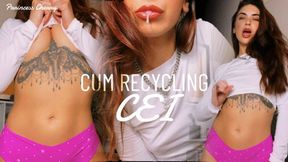 Cum Recycling CEI