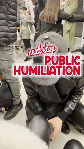 Next Stop public humiliation - Prossima fermata umiliazione pubblica - Italian language MOBILE