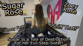 Zoey Films her Friend Destroying her Slaves Face with Big Booty Farts! - Ebony Goddess Sugar Rose