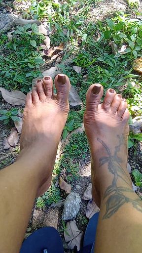 Come Say Good Morning to My Tropical Soles