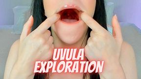 Uvula Exploration Fetish (MP4 1080)